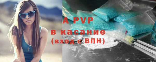 крисы Дмитриев