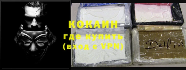 крисы Дмитриев