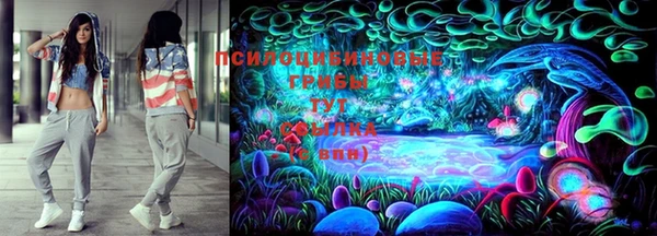 крисы Дмитриев