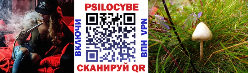 наркошоп  Сланцы  Псилоцибиновые грибы MAGIC MUSHROOMS 