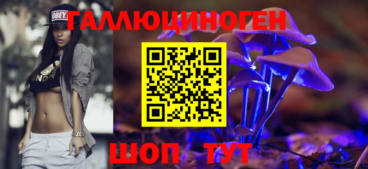 Псилоцибиновые грибы Cubensis Сланцы